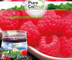 PureColfruit
